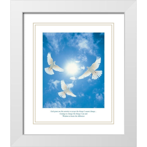 Dserenity - Doves White Modern Wood Framed Art Print with Double Matting by Frontline