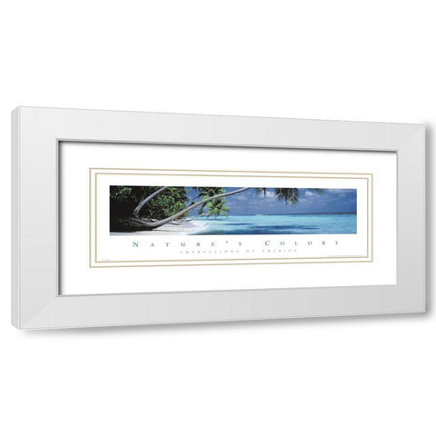 Natures Colors Palm Trees White Modern Wood Framed Art Print with Double Matting by Unknown
