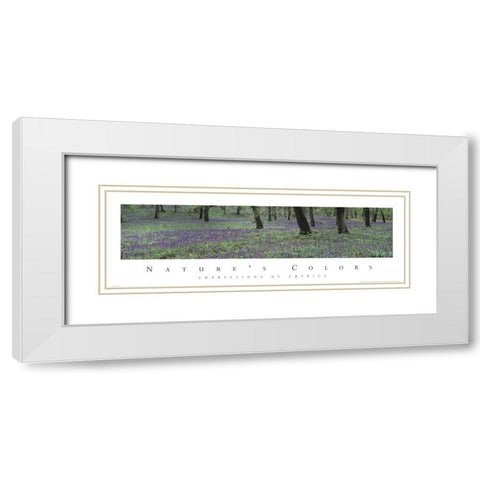 Natures Colors Purple Flowers White Modern Wood Framed Art Print with Double Matting by Unknown