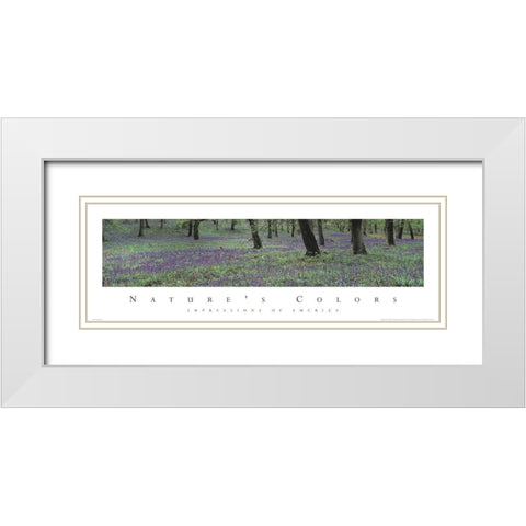 Natures Colors Purple Flowers White Modern Wood Framed Art Print with Double Matting by Unknown