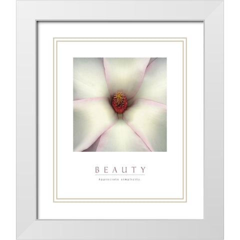 Beauty - White Magnolia White Modern Wood Framed Art Print with Double Matting by Unknown