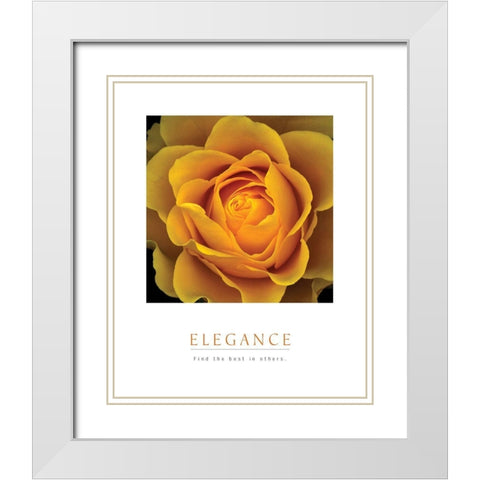 Elegance - Peach Rose White Modern Wood Framed Art Print with Double Matting by Unknown