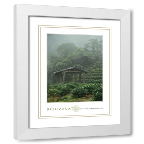 Rejuvenate - Pagoda White Modern Wood Framed Art Print with Double Matting by Frontline