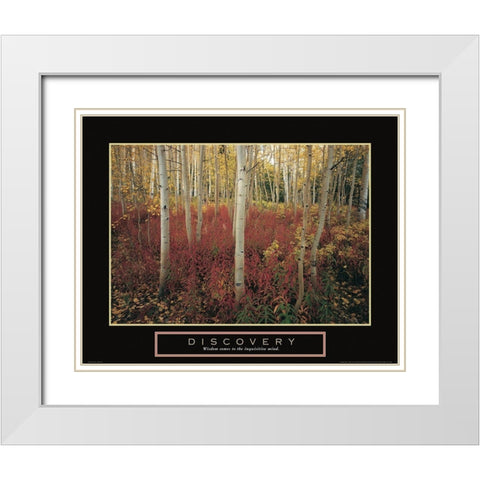 Discovery - Aspen Trees White Modern Wood Framed Art Print with Double Matting by Frontline
