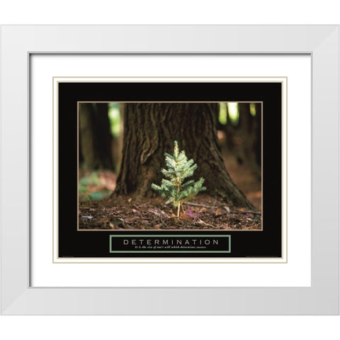Determination - Little Pine White Modern Wood Framed Art Print with Double Matting by Frontline