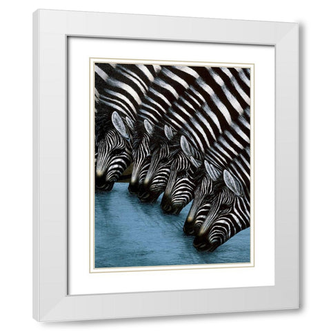 Zebra II White Modern Wood Framed Art Print with Double Matting by Unknown
