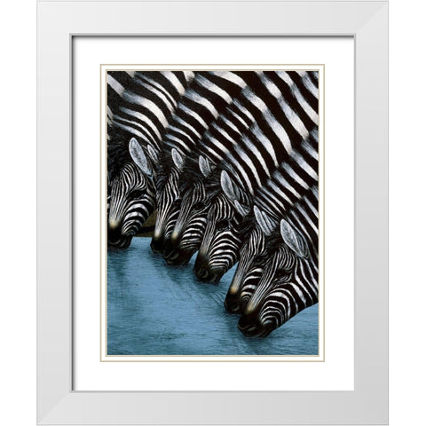 Zebra II White Modern Wood Framed Art Print with Double Matting by Unknown