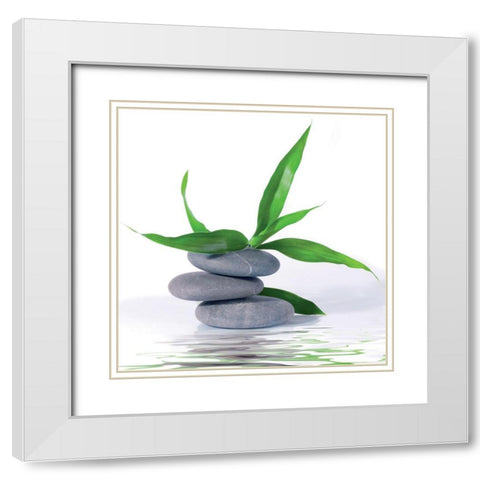 Aqua III White Modern Wood Framed Art Print with Double Matting by BRAUN Studio