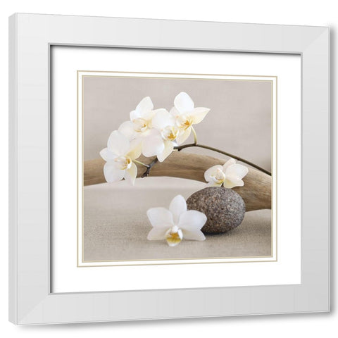 White orchid White Modern Wood Framed Art Print with Double Matting by Chatelain, Sonia