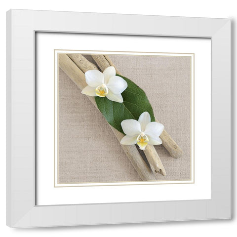 Orchid and Wood White Modern Wood Framed Art Print with Double Matting by Chatelain, Sonia