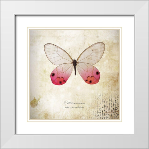 Cithaerias Coneralda White Modern Wood Framed Art Print with Double Matting by Braun Studio