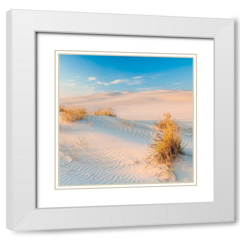 Seigle de Mer White Modern Wood Framed Art Print with Double Matting by Braun Studio