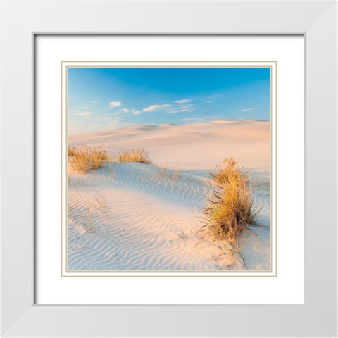 Seigle de Mer White Modern Wood Framed Art Print with Double Matting by Braun Studio