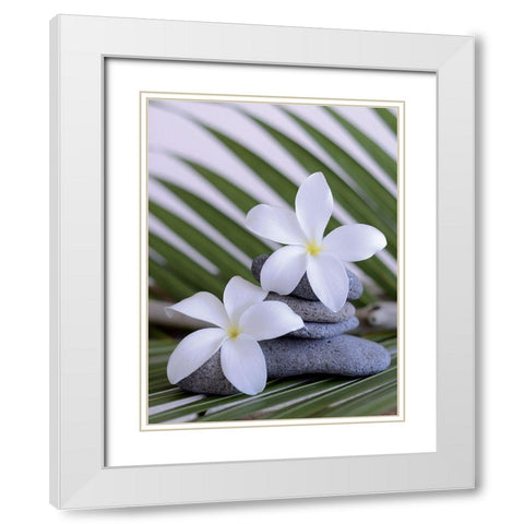 Zen et galets I White Modern Wood Framed Art Print with Double Matting by Chatelain, Sonia