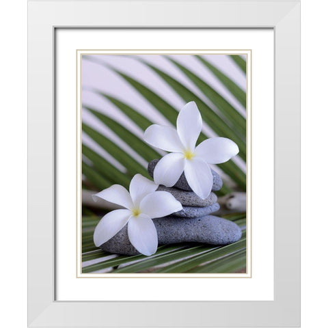 Zen et galets I White Modern Wood Framed Art Print with Double Matting by Chatelain, Sonia