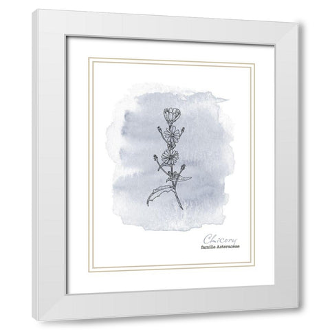 Planche botanique 1 White Modern Wood Framed Art Print with Double Matting by Braun Studio