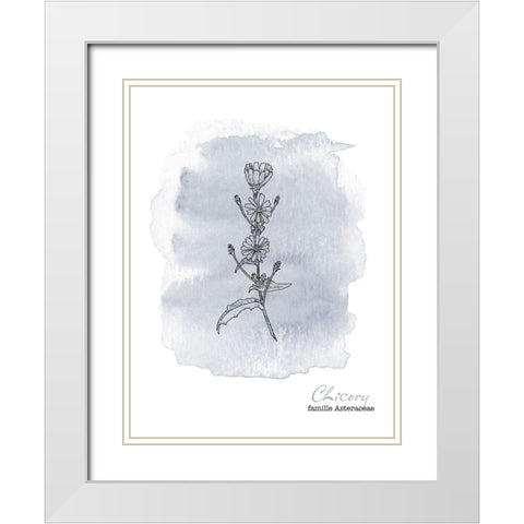 Planche botanique 1 White Modern Wood Framed Art Print with Double Matting by Braun Studio
