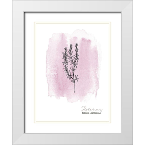 Planche botanique 2 White Modern Wood Framed Art Print with Double Matting by Braun Studio