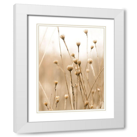 Herbes des Champs 2 White Modern Wood Framed Art Print with Double Matting by BRAUN Studio