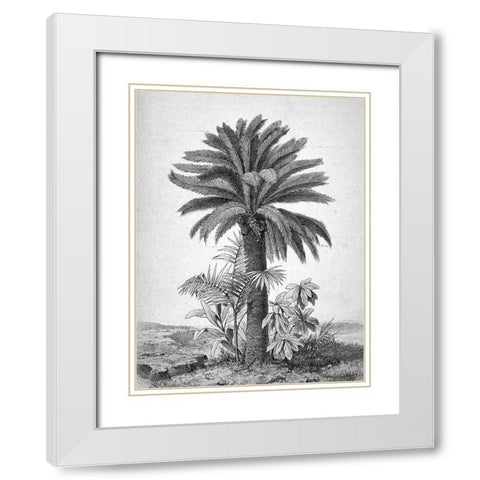 Palmier White Modern Wood Framed Art Print with Double Matting by BRAUN Studio