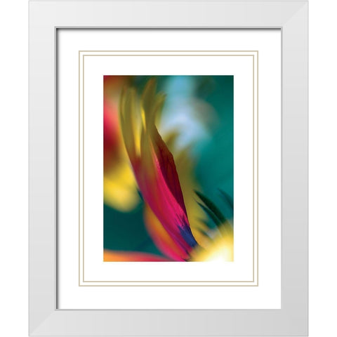 Rudbeckia White Modern Wood Framed Art Print with Double Matting by Ayrault, Marc