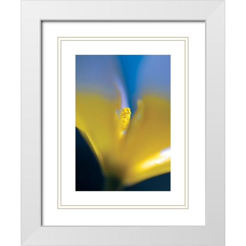 Tulipe 3 White Modern Wood Framed Art Print with Double Matting by Ayrault, Marc