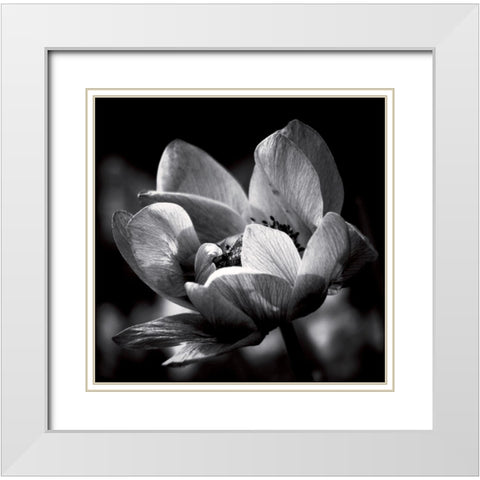 Spring dream White Modern Wood Framed Art Print with Double Matting by Mercier, Bruno