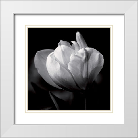 Morning caress White Modern Wood Framed Art Print with Double Matting by Mercier, Bruno