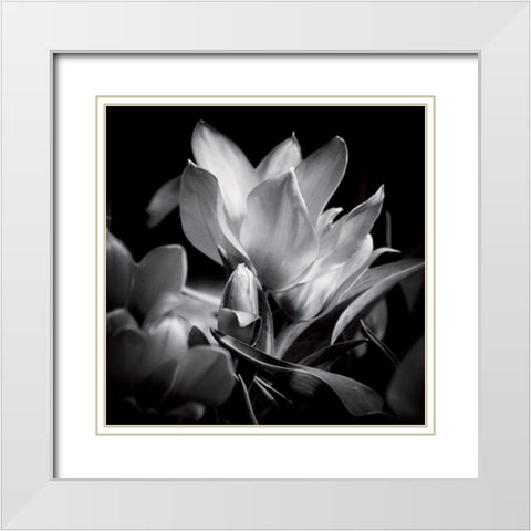 Opening White Modern Wood Framed Art Print with Double Matting by Mercier, Bruno