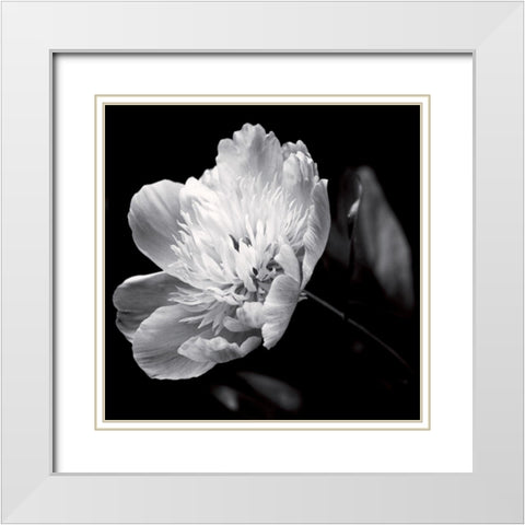 Dance on a volcano White Modern Wood Framed Art Print with Double Matting by Mercier, Bruno