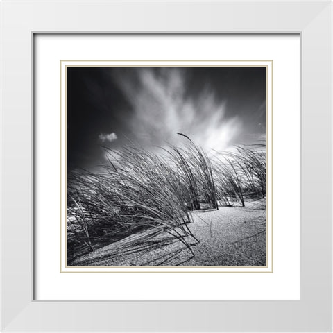 Suivre le vent White Modern Wood Framed Art Print with Double Matting by Etchepare, Alain