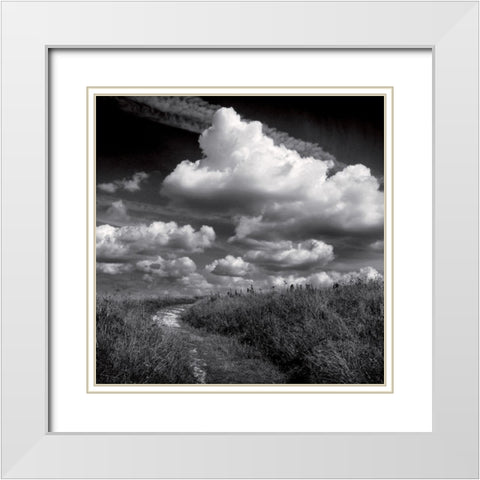 La clef des champs I White Modern Wood Framed Art Print with Double Matting by de Lattre, Pascal