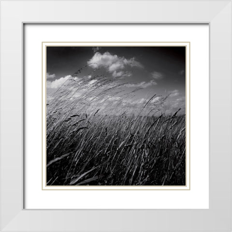 La clef des champs II White Modern Wood Framed Art Print with Double Matting by de Lattre, Pascal