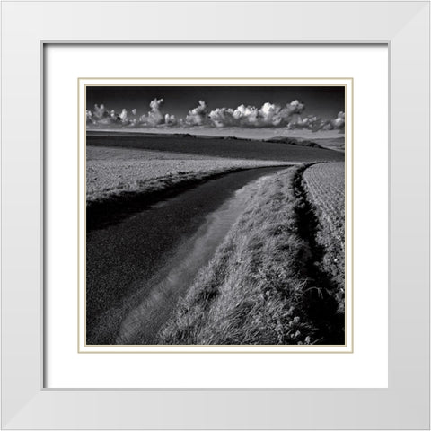 La clef des champs III White Modern Wood Framed Art Print with Double Matting by de Lattre, Pascal