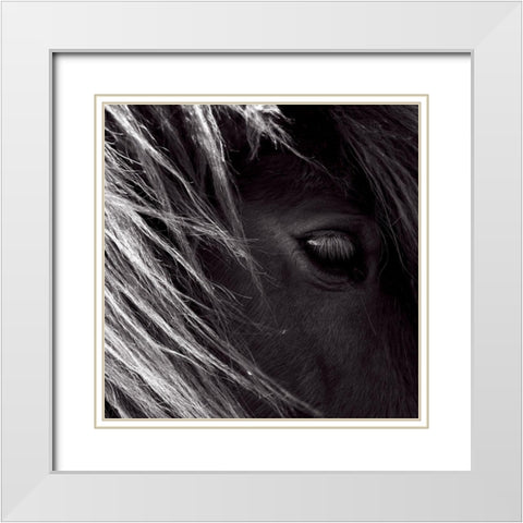 Honey poney White Modern Wood Framed Art Print with Double Matting by de Lattre, Pascal