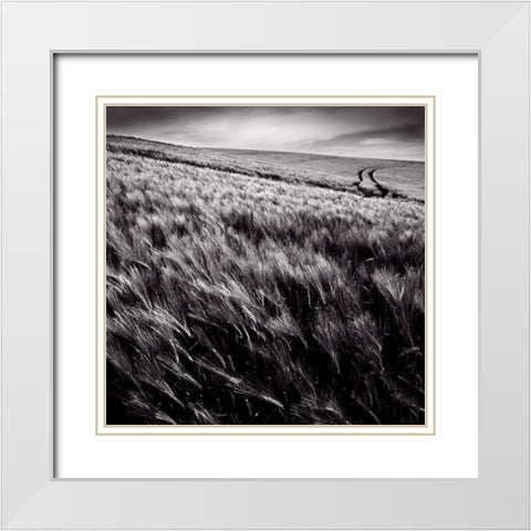 Dans le sens des epis White Modern Wood Framed Art Print with Double Matting by de Lattre, Pascal