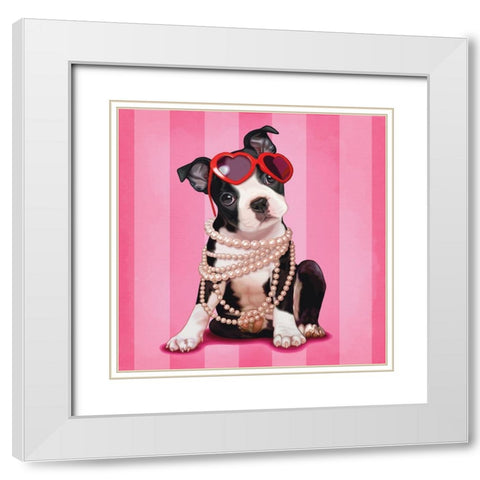Boston terrier White Modern Wood Framed Art Print with Double Matting by Cazenave, Maryline
