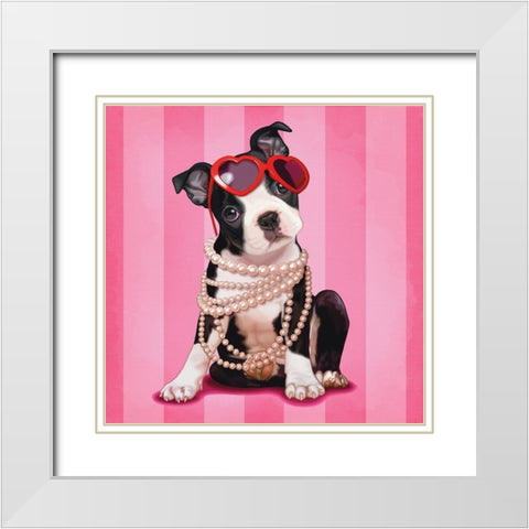 Boston terrier White Modern Wood Framed Art Print with Double Matting by Cazenave, Maryline