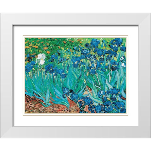 Iris White Modern Wood Framed Art Print with Double Matting by van Gogh, Vincent