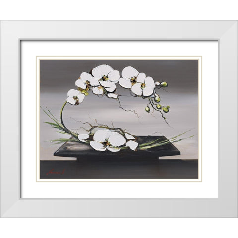 Bonheur dorchideÂ´es blanches I White Modern Wood Framed Art Print with Double Matting by Tramoni, Oliver