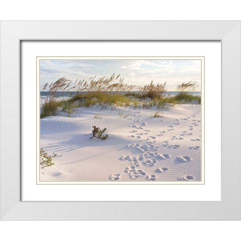 Plage 11 White Modern Wood Framed Art Print with Double Matting by Braun Studio