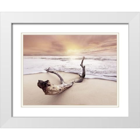 Driftwood on beach White Modern Wood Framed Art Print with Double Matting by Braun Studio