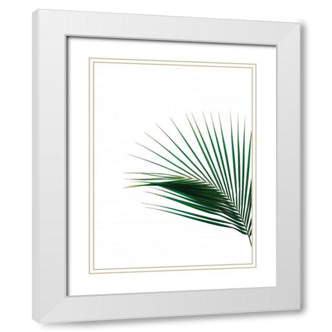 Green Palm Tree II White Modern Wood Framed Art Print with Double Matting by Braun Studio