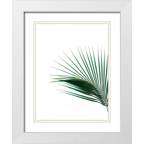Green Palm Tree II White Modern Wood Framed Art Print with Double Matting by Braun Studio
