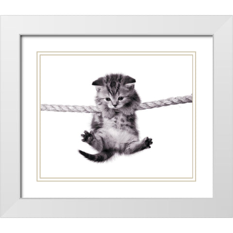 Oups ! White Modern Wood Framed Art Print with Double Matting by Braun Studio