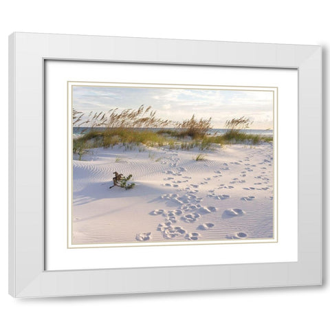 Plage 11 White Modern Wood Framed Art Print with Double Matting by Braun Studio