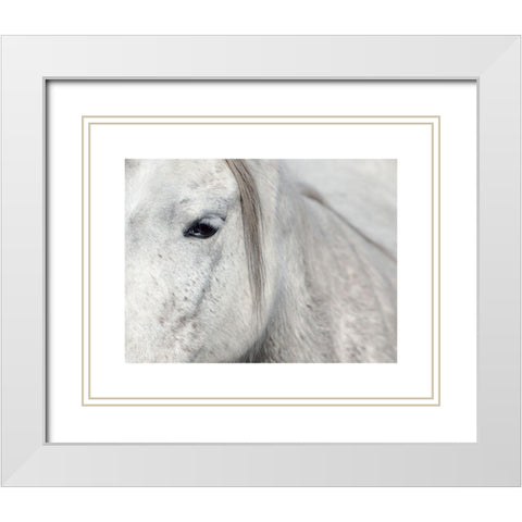Crin Blanc 1 White Modern Wood Framed Art Print with Double Matting by Braun Studio