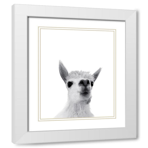 Lama Rigolo White Modern Wood Framed Art Print with Double Matting by Braun Studio