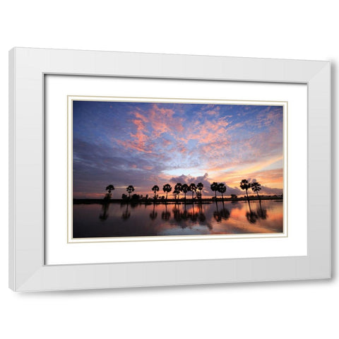Coucher de soleil White Modern Wood Framed Art Print with Double Matting by Braun Studio