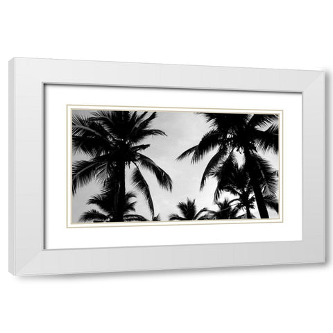 Ciel de Palmiers White Modern Wood Framed Art Print with Double Matting by Braun Studio